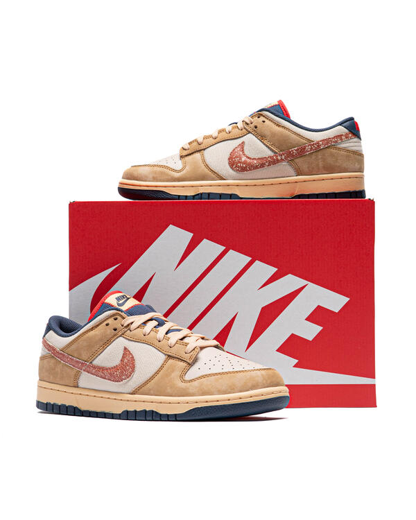 Nike DUNK LOW RETRO SE | HQ3640-790 | AFEW STORE